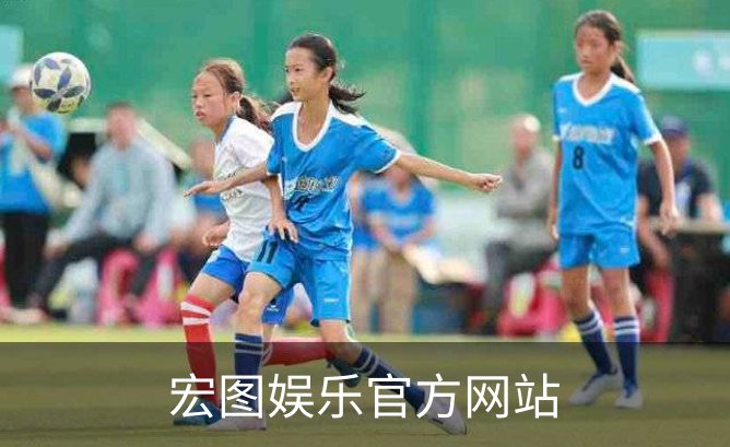 宏图娱乐官方网站简介